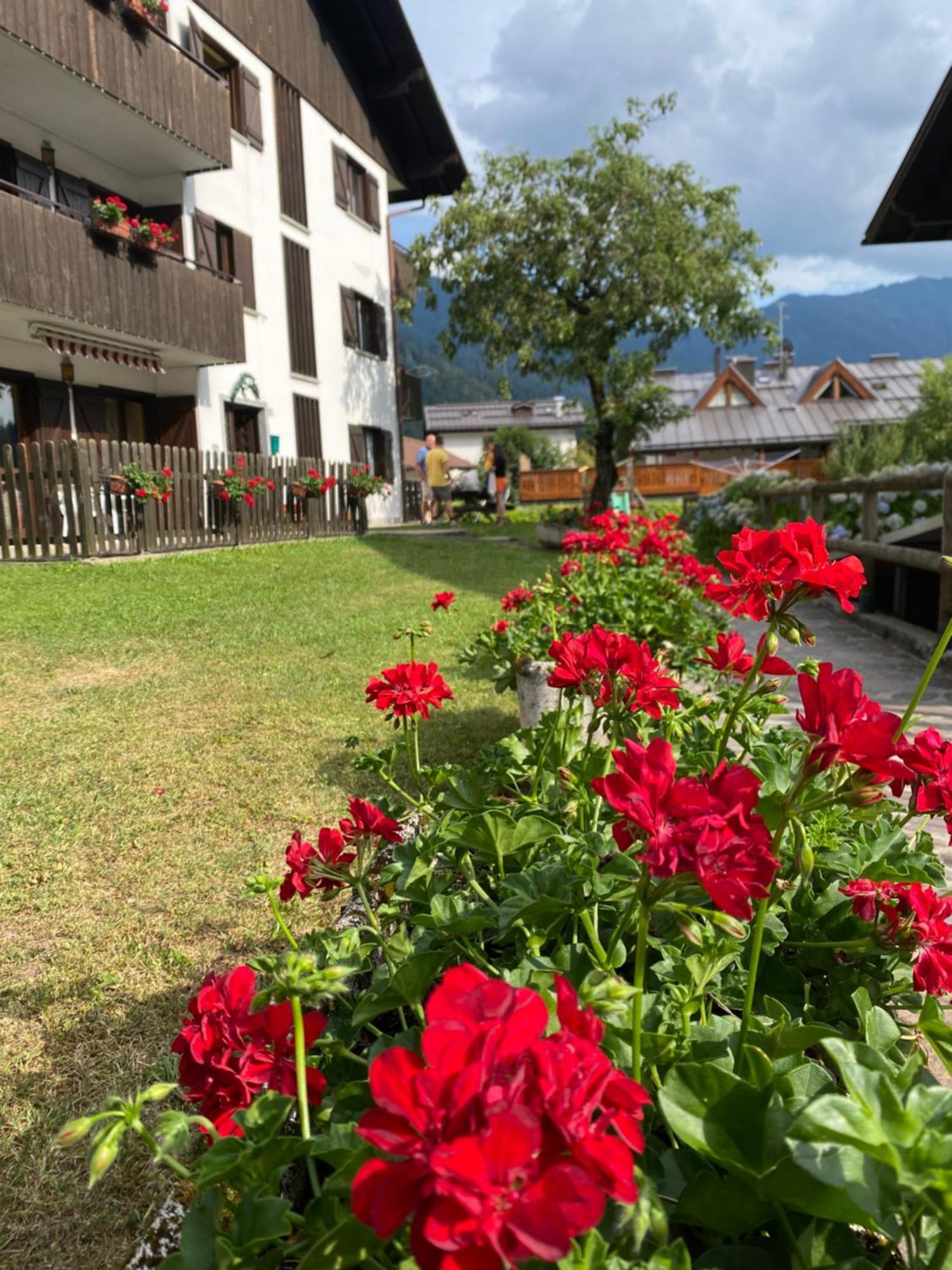 Ferienwohnung Care Alto Carisolo Exterior foto
